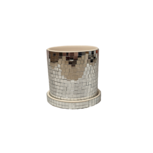 Mirrored Plant Pot